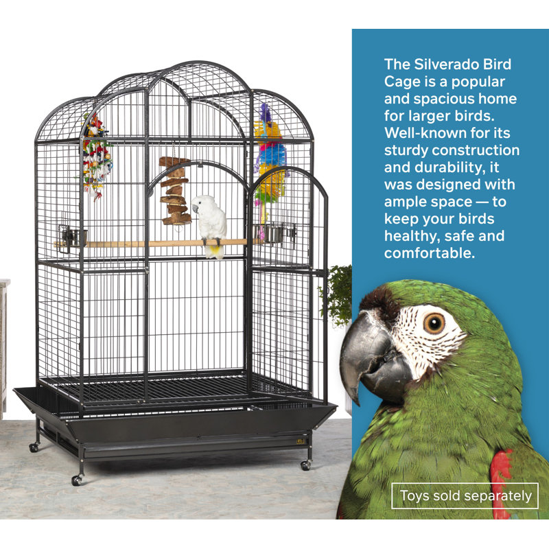 Tucker Murphy Pet™ Backes 78.25 Tucker Murphy Pet™ Backes 78.25